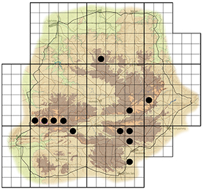 Ilex mitis Waterberg distribution